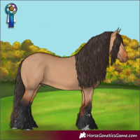 Horse Color:Bay Dun