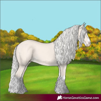 Horse Color:Cremello Dun Splash