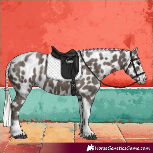 Horse Color:Silver Black Tobiano Skewed LP Spotted 