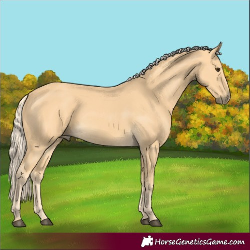 Horse Color:Palomino