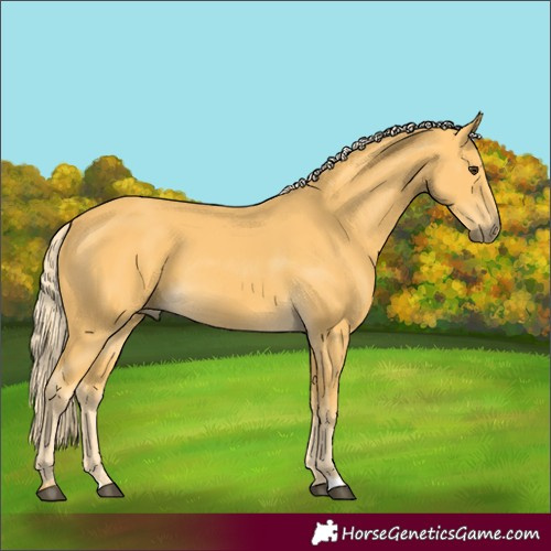 Horse Color:Palomino
