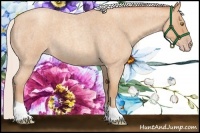 Horse Color:Silver Amber Champagne Roan