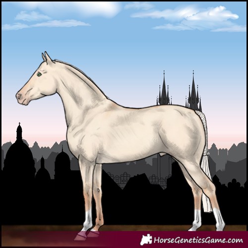 Horse Color:Silver Amber Champagne Dun Tobiano Rabicano 