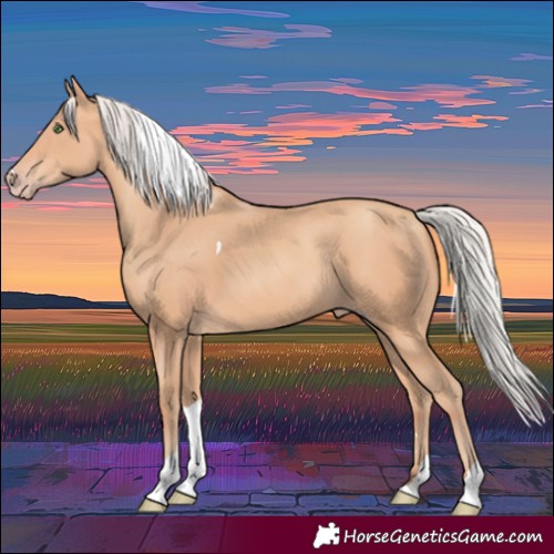 Horse Color:Silver Amber Champagne Tobiano Rabicano 