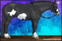 Horse Color:Black Frame 