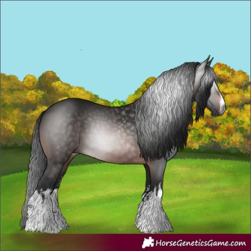 Horse Color:Gray White Spotted Bay