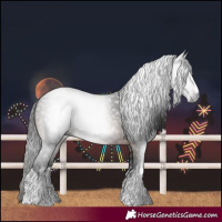 Horse Color:Gray White Spotted Bay 