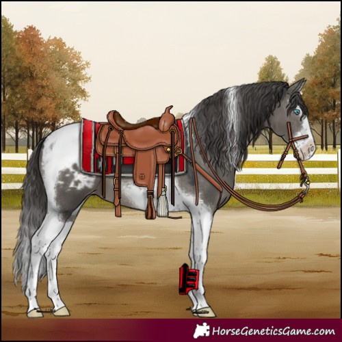 Horse Color:Grullo Mushroom Splash Tobiano Blanket 