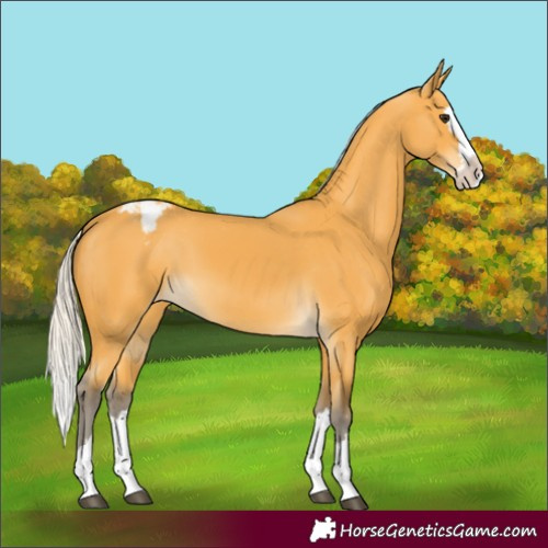 Horse Color:Silver Buckskin Splash Varnish 