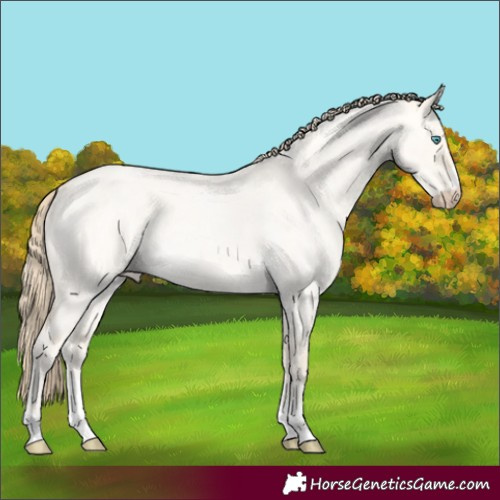 Horse Color:Perlino Roan Dun