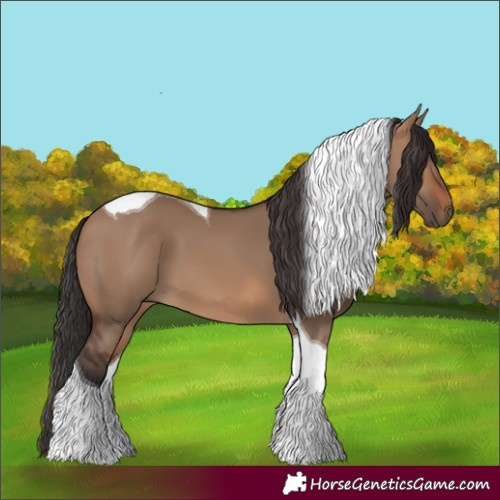 Horse Color:Brown Dun Tobiano