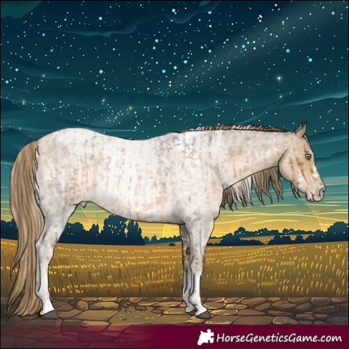 Horse Color:Powder White Chocolate Palomino Roan Mushroom  and White Spotted Buckskin Roan Pearl Rabicano 