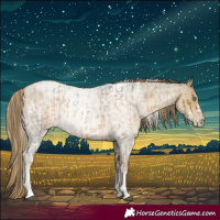 Horse Color:Powder White Chocolate Palomino Roan Mushroom and White Spotted Buckskin Roan Pearl Rabicano