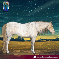 Horse Color:Powder White Chocolate Palomino Roan Mushroom and White Spotted Buckskin Roan Pearl Rabicano