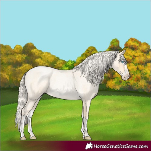 Horse Color:Palomino Roan Pearl and Palomino Roan Pearl Splash