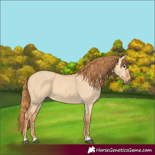 Horse Color:Unknown 