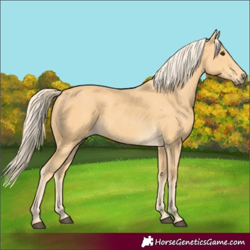 Horse Color:Palomino