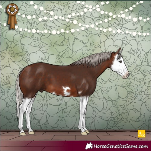 Horse Color:Silver Brown Splash 