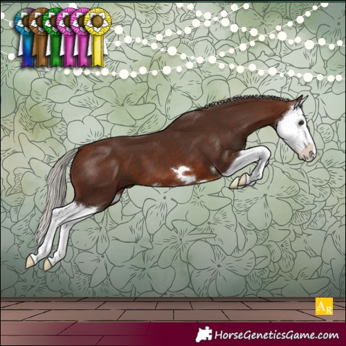 Horse Color:Silver Brown Splash