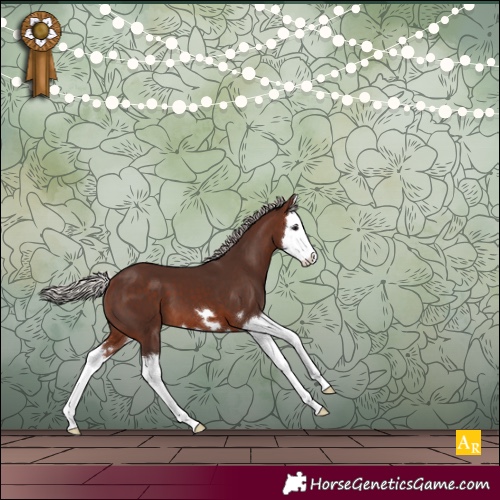 Horse Color:Silver Brown Splash 