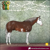 Horse Color:Silver Brown Splash 