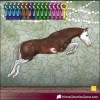 Horse Color:Silver Brown Splash 