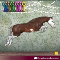 Horse Color:Silver Brown Splash 