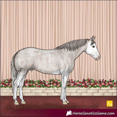 Horse Color:Silver Grullo Roan Splash 