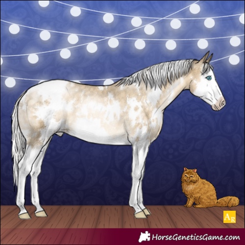 Horse Color:White Spotted Silver Buckskin Pearl Splash Varnish Rabicano 