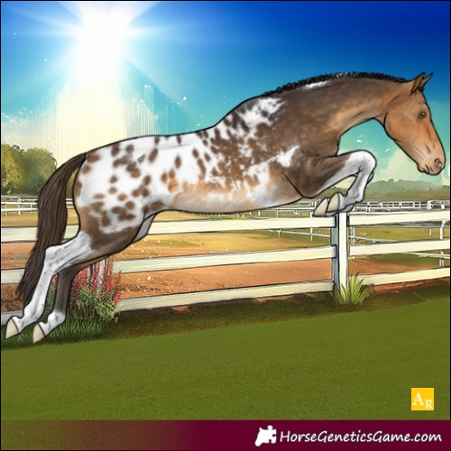Horse Color:Buckskin Tobiano Blanket Rabicano 