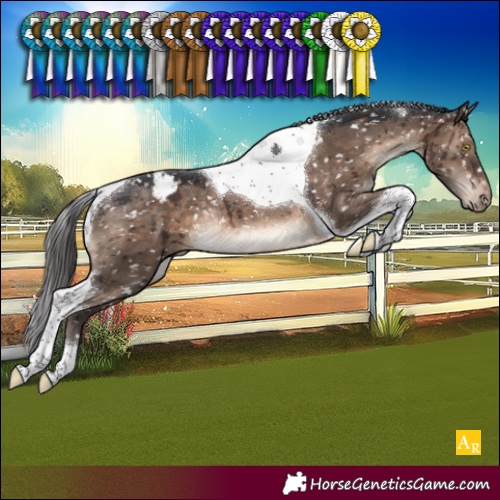 Horse Color:Brown Dun Tobiano Snowcap Rabicano Brindle 