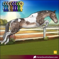 Horse Color:Brown Dun Tobiano Appaloosa Rabicano Brindle 