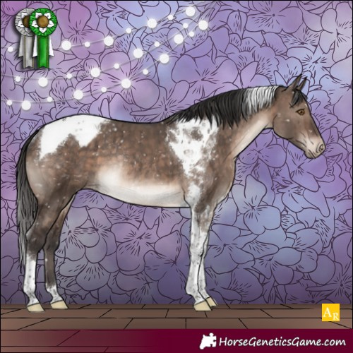 Horse Color:Brown Dun Mushroom Tobiano Appaloosa Rabicano Brindle 