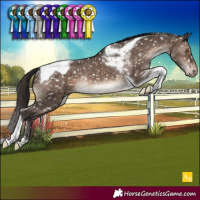 Horse Color:Brown Dun Mushroom Tobiano Appaloosa Rabicano Brindle 