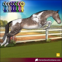 Horse Color:Brown Dun Mushroom Tobiano Appaloosa Rabicano Brindle 