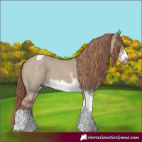 Horse Color:Liver Red Dun Sabino Tobiano Frame Rabicano