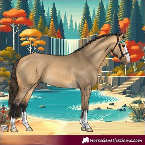 Horse Color:Buckskin Dun 