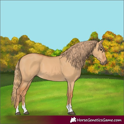 Horse Color:Unknown 
