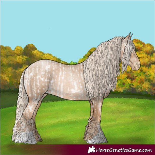 Horse Color:Palomino Roan Pearl and Gray Palomino Roan Pearl