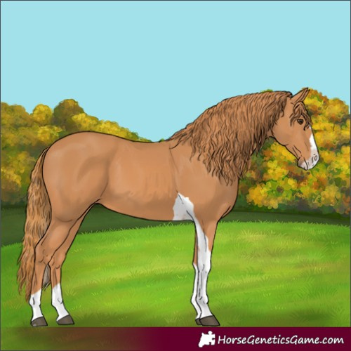 Horse Color:Unknown 