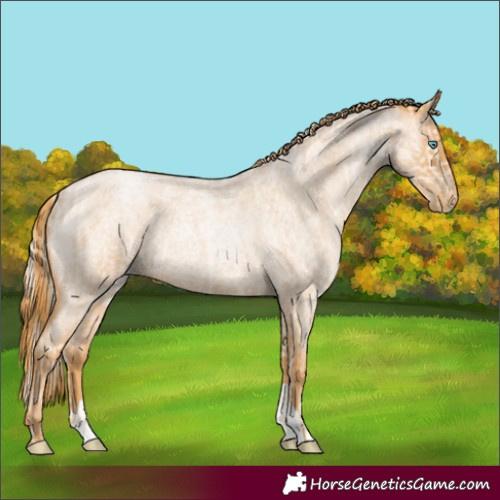 Horse Color:Palomino Roan Pearl  and Red Roan Pearl 