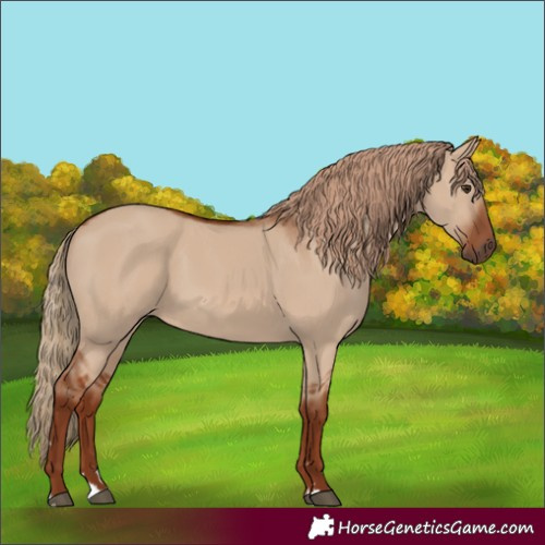Horse Color:Unknown