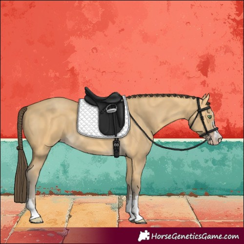 Horse Color:Amber Cream Champagne 