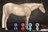 Horse Color:White Spotted Chocolate Palomino Pearl Mushroom
