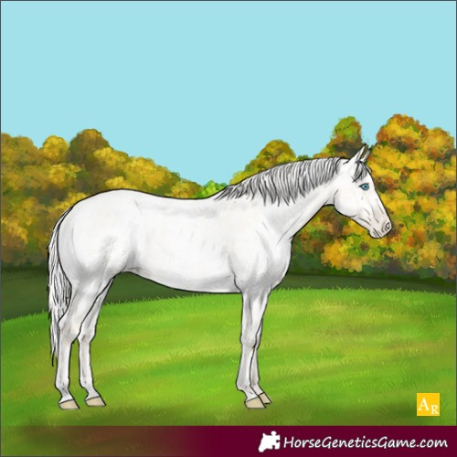 Horse Color:Palomino Roan Pearl Dun  and Gold Cream Champagne Roan Pearl Dun 