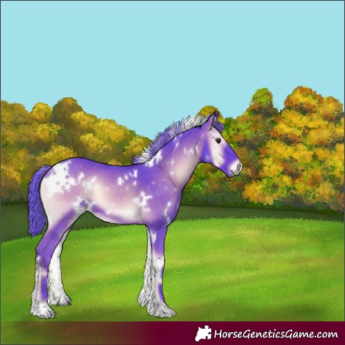 Horse Color:Watercolor White Spotted Red Onyx 