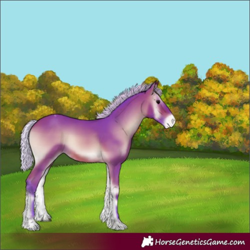 Horse Color:Watercolor Silver Bay Onyx Appaloosa 