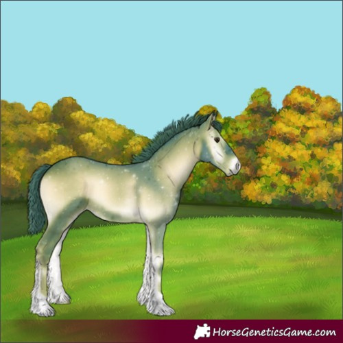 Horse Color:Watercolor Liver Red Onyx 
