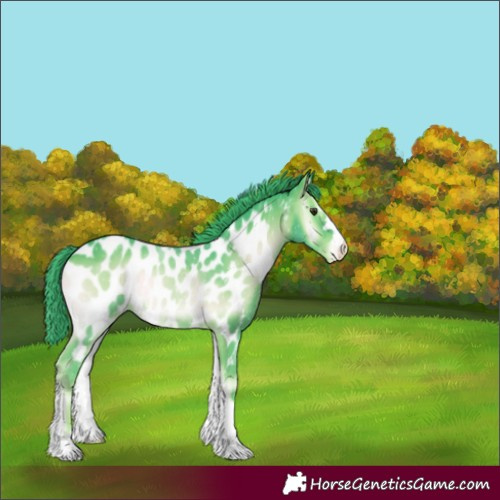Horse Color:Watercolor Liver Red Onyx Appaloosa 