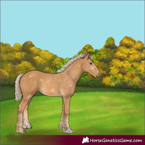 Horse Color:Palomino